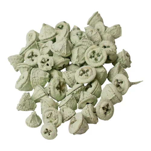 Fruct de Eucalipt 150g/pachet - Verde Salvie