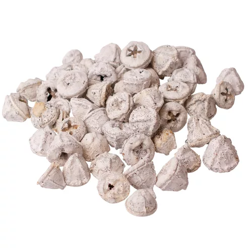 Fruct de Eucalipt 150g/pachet - Ceai Alb