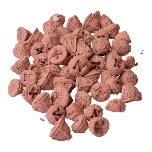 Fruct de Eucalipt 150g/pachet - Roz Pastel