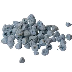 Fruct de Eucalipt 150g/pachet - Albastru Rece