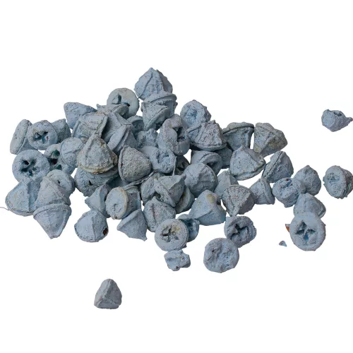 Fruct de Eucalipt 150g/pachet - Albastru Rece