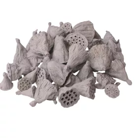Mini Lotus 1–3cm, 50buc./pachet - Gri Cenușă