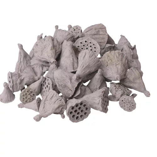 Mini Lotus 1–3cm, 50buc./pachet - Gri Cenușă