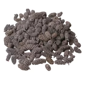 Pine Birch 150g/pachet - Albastru Ocean