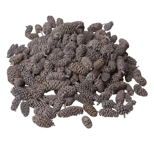 Pine Birch 150g/pachet - Albastru Ocean