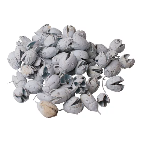 Bakuli 150g/pachet - Albastru Ocean