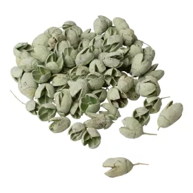 Bakuli 150g/pachet - Verde Salvie