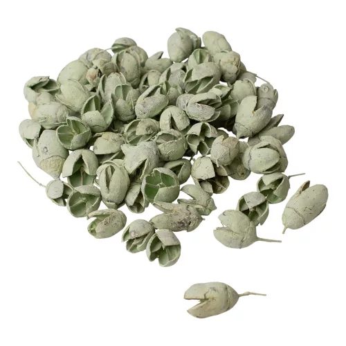 Bakuli 150g/pachet - Verde Salvie