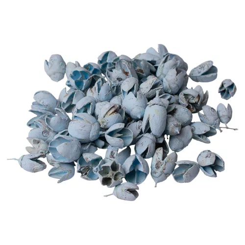 Bakuli 150g/pachet - Albastru Rece