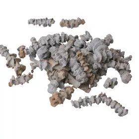 Tulpină de Bananier 150g/pachet - Albastru Ocean