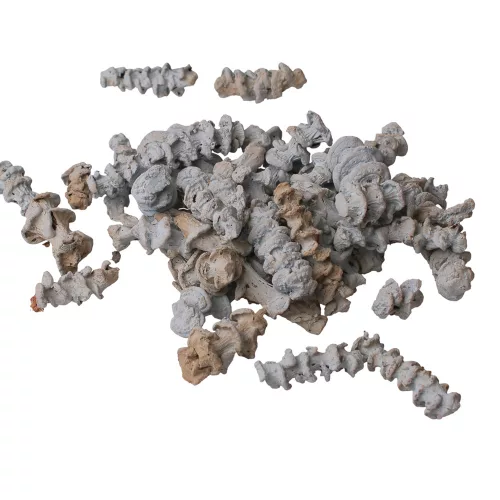 Tulpină de Bananier 150g/pachet - Albastru Ocean