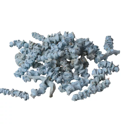 Tulpină de Bananier 150g/pachet - Albastru Rece