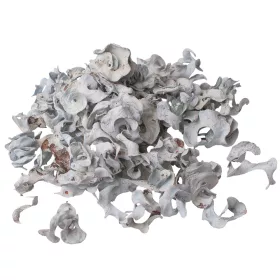 Fruct Curly 150g/pachet - Albastru Ocean