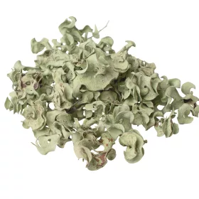 Fruct Curly 150g/pachet - Verde Salvie