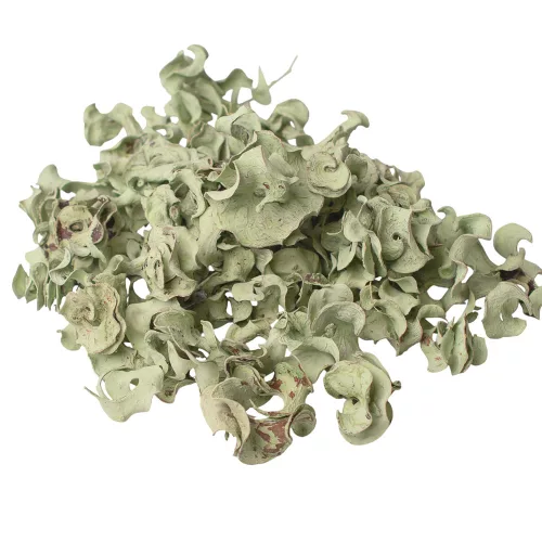 Fruct Curly 150g/pachet - Verde Salvie