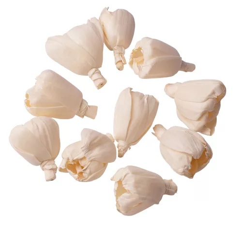 Lalea Shola 6cm 10buc./pachet - Natural