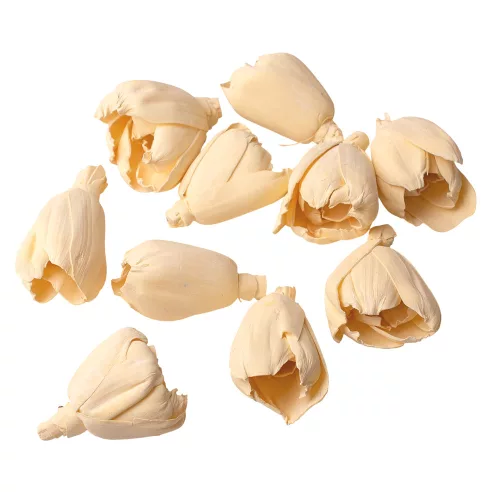 Lalea Shola 6cm 10buc./pachet - Albît