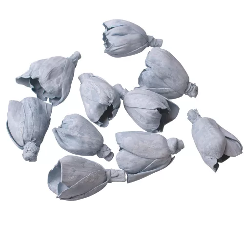 Lalea Shola 6cm 10buc./pachet - Albastru Ocean