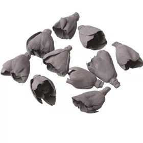 Lalea Shola 6cm 10buc./pachet - Gri Cenușă