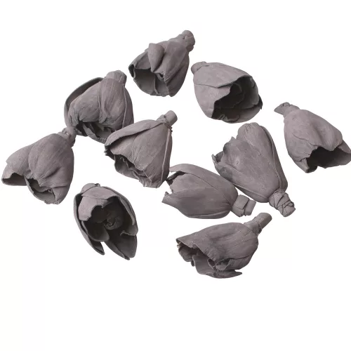 Lalea Shola 6cm 10buc./pachet - Gri Cenușă