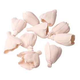 Lalea Shola 6cm 10buc./pachet - Ceai Alb