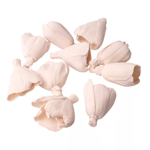 Lalea Shola 6cm 10buc./pachet - Ceai Alb