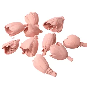 Lalea Shola 6cm 10buc./pachet - Roz Pastel