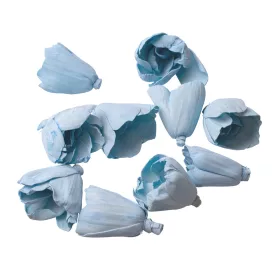 Lalea Shola 6cm 10buc./pachet - Albastru Rece