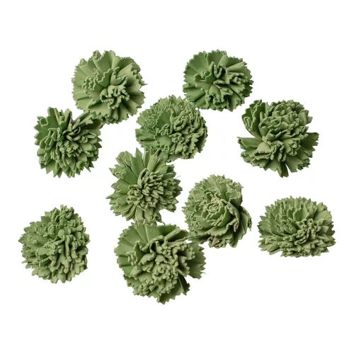 Shola Garoafă 4cm 10buc./pachet - Verde Salvie