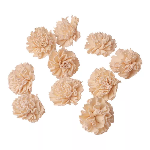 Shola Garoafă 4cm 10buc./pachet - Ceai Alb