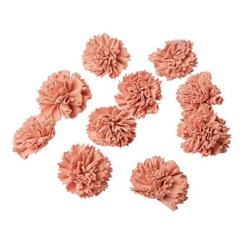 Shola Garoafă 4cm 10buc./pachet - Roz Pastel