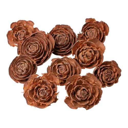 Trandafir de Cedru 3–5cm 10buc./pachet - Natural