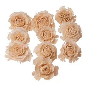 Trandafir de Cedru 3–5cm 10buc./pachet - Albît