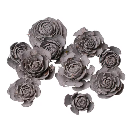 Trandafir de Cedru 3–5cm 10buc./pachet - Gri Cenușă