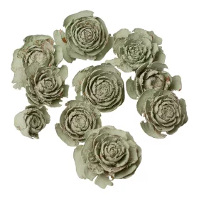 Trandafir de Cedru 3–5cm 10buc./pachet - Verde Salvie