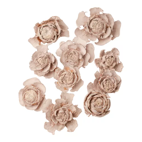 Trandafir de Cedru 3–5cm 10buc./pachet - Ceai Alb