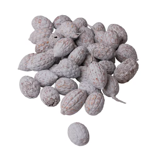 Fruct de Trestie 150g/pachet - Albastru Ocean