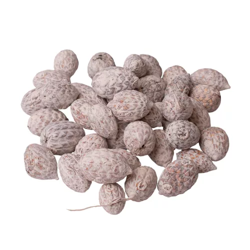 Fruct de Trestie 150g/pachet - Ceai Alb