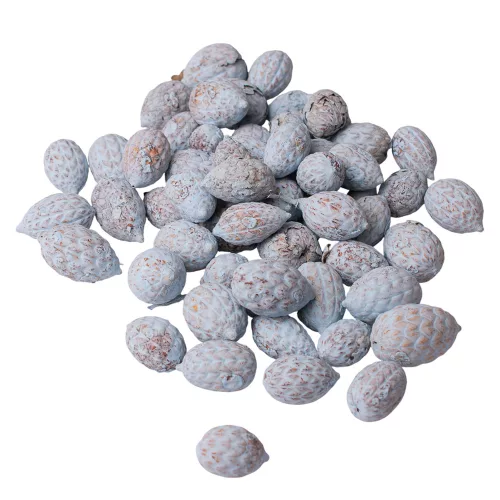 Fruct de Trestie 150g/pachet - Albastru Rece