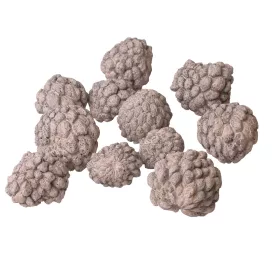 Sugar Apple 150g/pachet - Ceai Alb