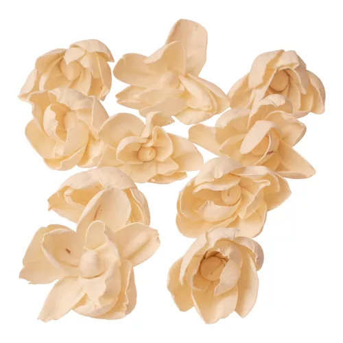 Bujor Shola 10buc. - Natural