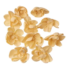 Bujor Shola 10buc. - Albît