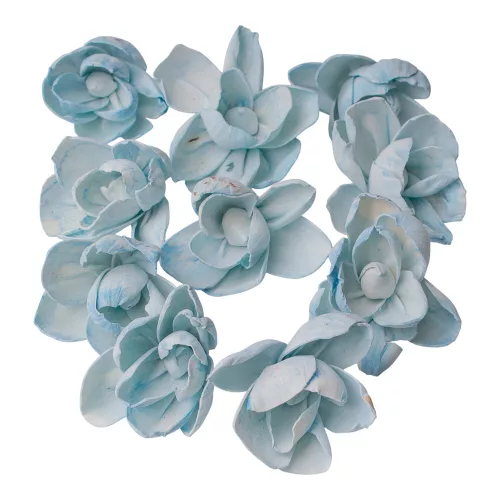 Bujor Shola 10buc. - Albastru Ocean