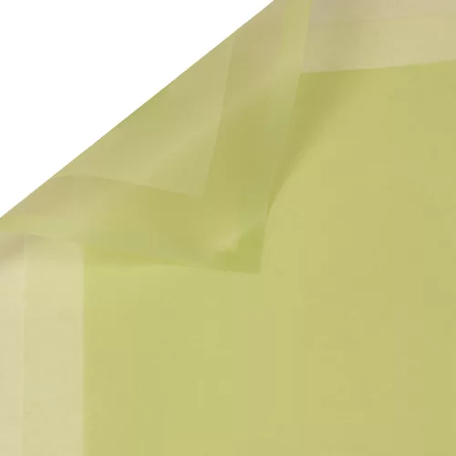 Foaie din folie mată cu chenar 58 x 58 cm, 20 buc. - Verde deschis