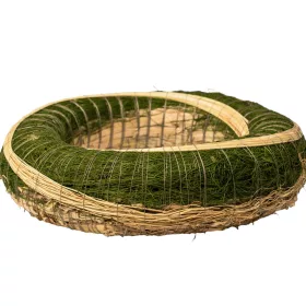  Bază de coroniță din fân îmbrăcată în sisal decorată cu sorg 20cm/5cm - Verde