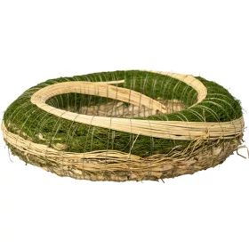   Bază de coroniță din fân îmbrăcată în sisal decorată cu sorg 25cm/6cm - Verde