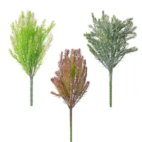 Tufă de chiparos, 7 fire, 35cm înălțime - Mix 48 buc.