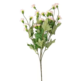 Garoafă de grădină, ramură 70cm înălțime - Roz pal