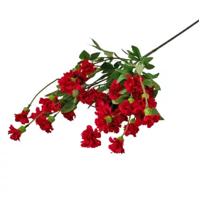 Garoafă de grădină, ramură 70cm înălțime - Bordo