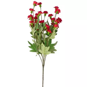 Garoafă de grădină, ramură 70cm înălțime - Bordo